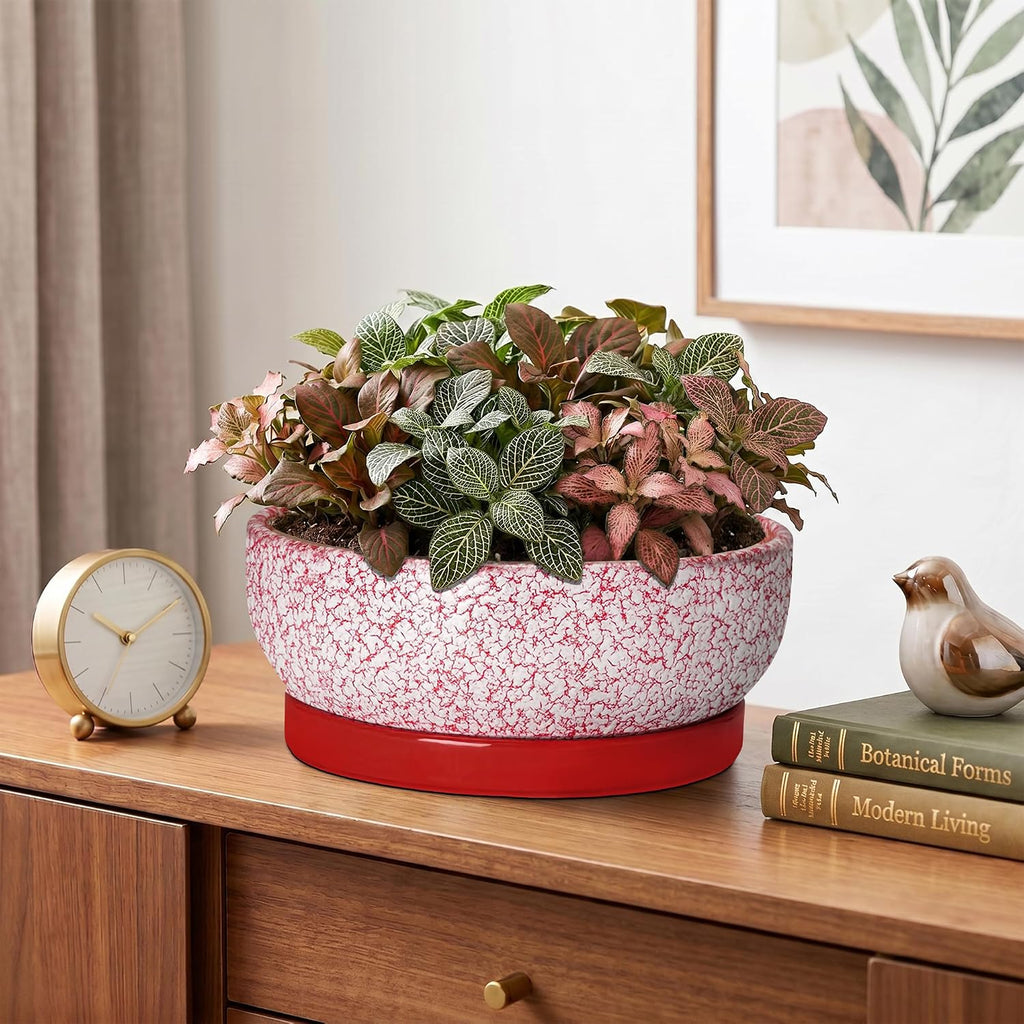 Ceramic Succulent Planter, 8 Inch Bonsai Pots with Tray, Texture Red | Succulent Pots for Indoor Plants, Round Shallow