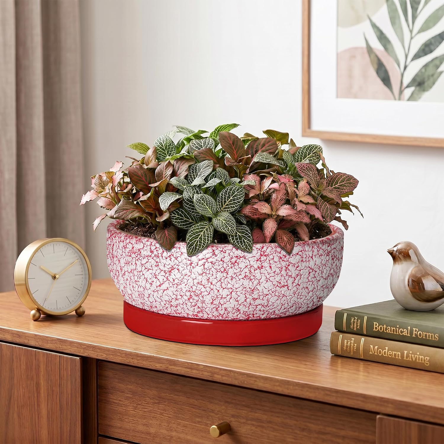 Ceramic Succulent Planter, 8 Inch Bonsai Pots with Tray, Texture Red | Succulent Pots for Indoor Plants, Round Shallow