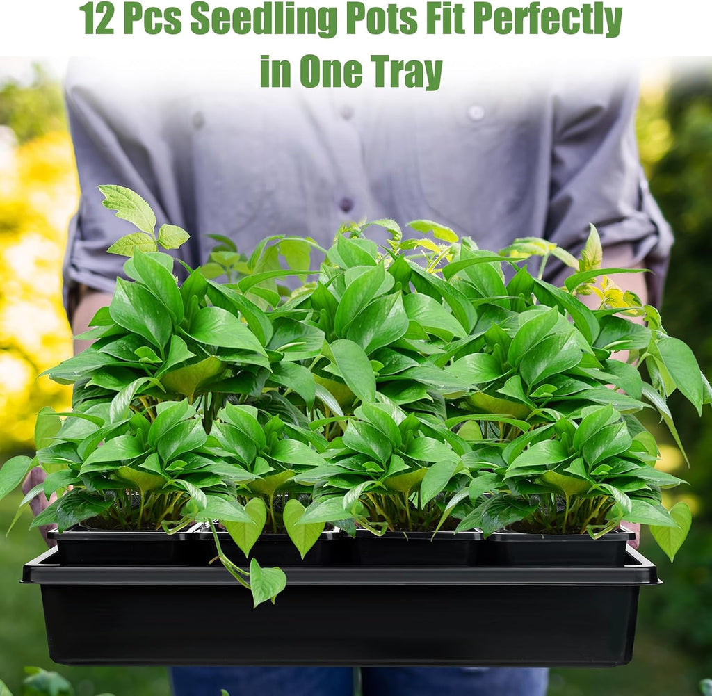 mwellewm 5 Pcs Seed Starter Tray, 3.5 Inch (9CM) 60 Pcs Nursery Pots Kit, Thickened Seed Starting Trays Square Seedling