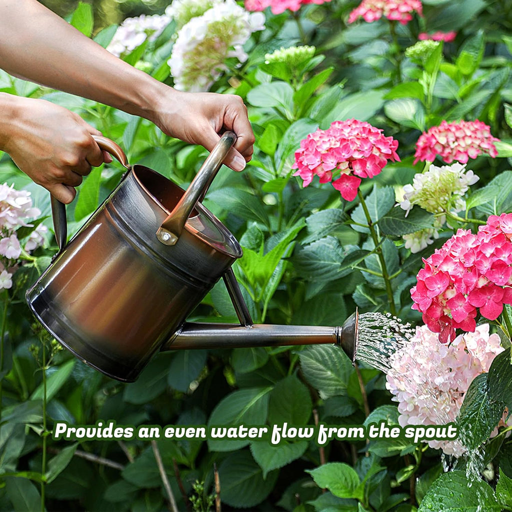 1 Gallon Watering Can for Plants, Watering Cans for Indoor&Outdoor Gardening, Galvanized Steel Watering Pot with