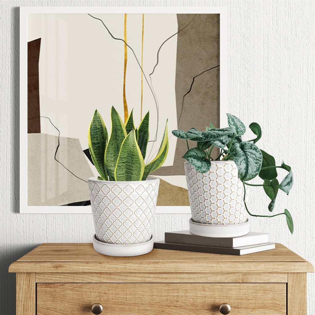 EFISPSS Ceramic Plant Pots Indoor, 5 Inch Planters with Drainage Holes and Ceramic Tray, Relief Design Flower Planter