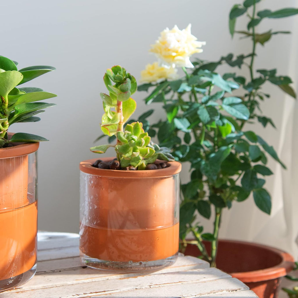 Phoenix Vine 4 Inch Self Watering Plants Pot, Design Terracotta Pot for Plants, Indoor Cylinder Terra Cotta Planter