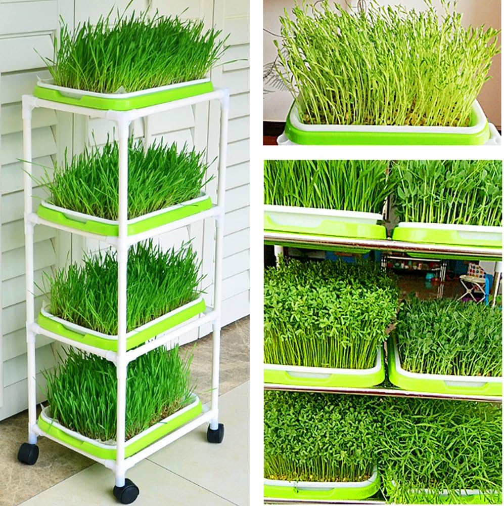 4 Layers Sprout Trays with Extra Strength Plastic Shelf Soil-Free Healthy Wheatgrass Seeds Grower & Storage Trays for