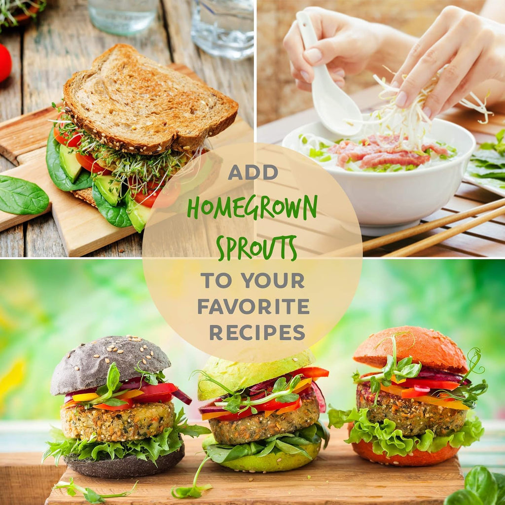 Trellis + Co.Stainless Steel Sprouting Kit, 2 Pack Rust Proof 316 Stainless | Curved Mesh, Fits Most Wide Mouth Mason
