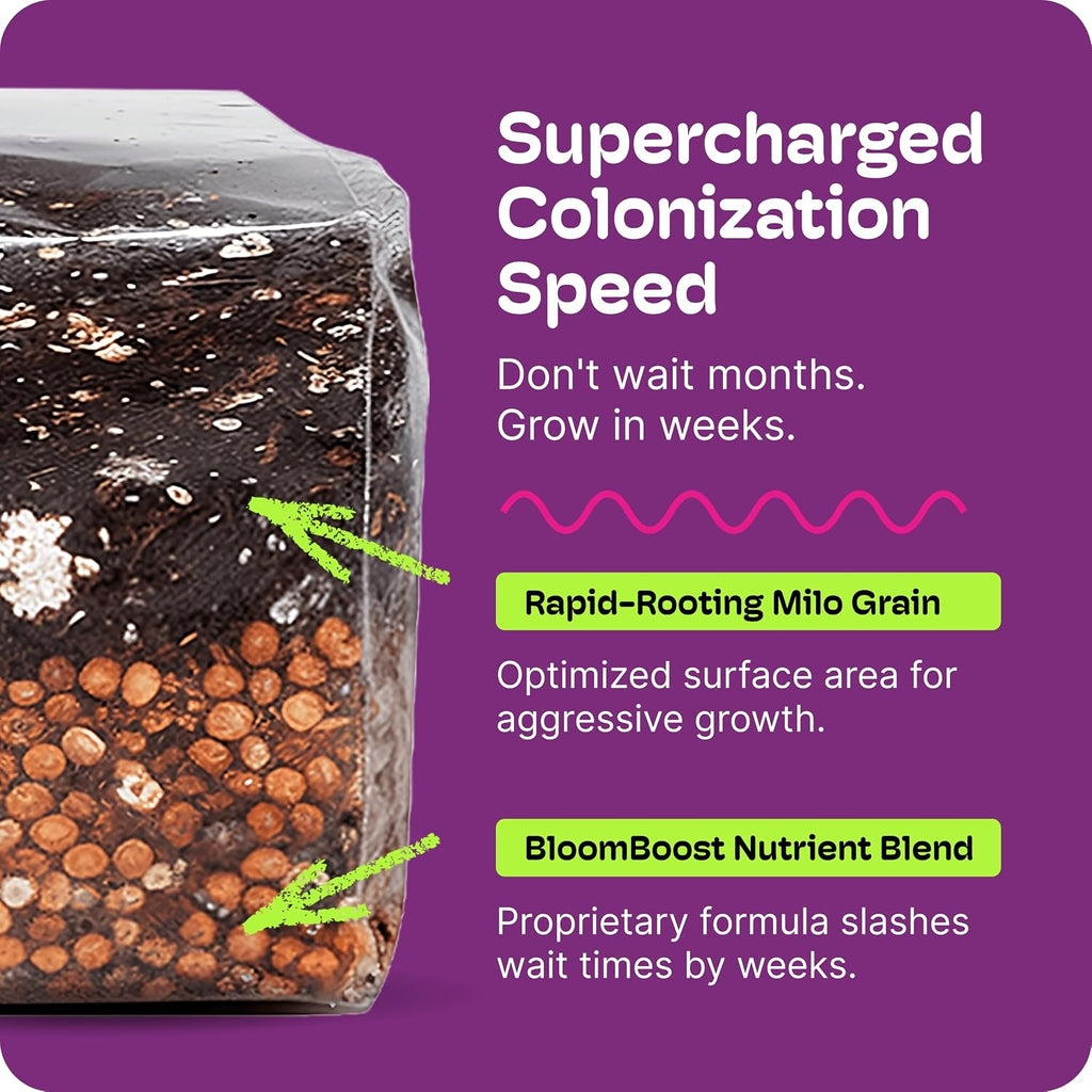 Mushroom Grow Kit – All-in-One 4LB Grow Bag with Self-Healing Port – Fast-Colonizing Universal Substrate for Any