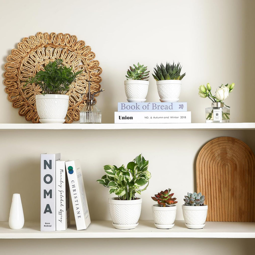 Sureasy Succulent Pots, 3.5 Inch Flower Pots for Indoor Plants, Small Plant Pots with Saucer & Drainage, Decorative