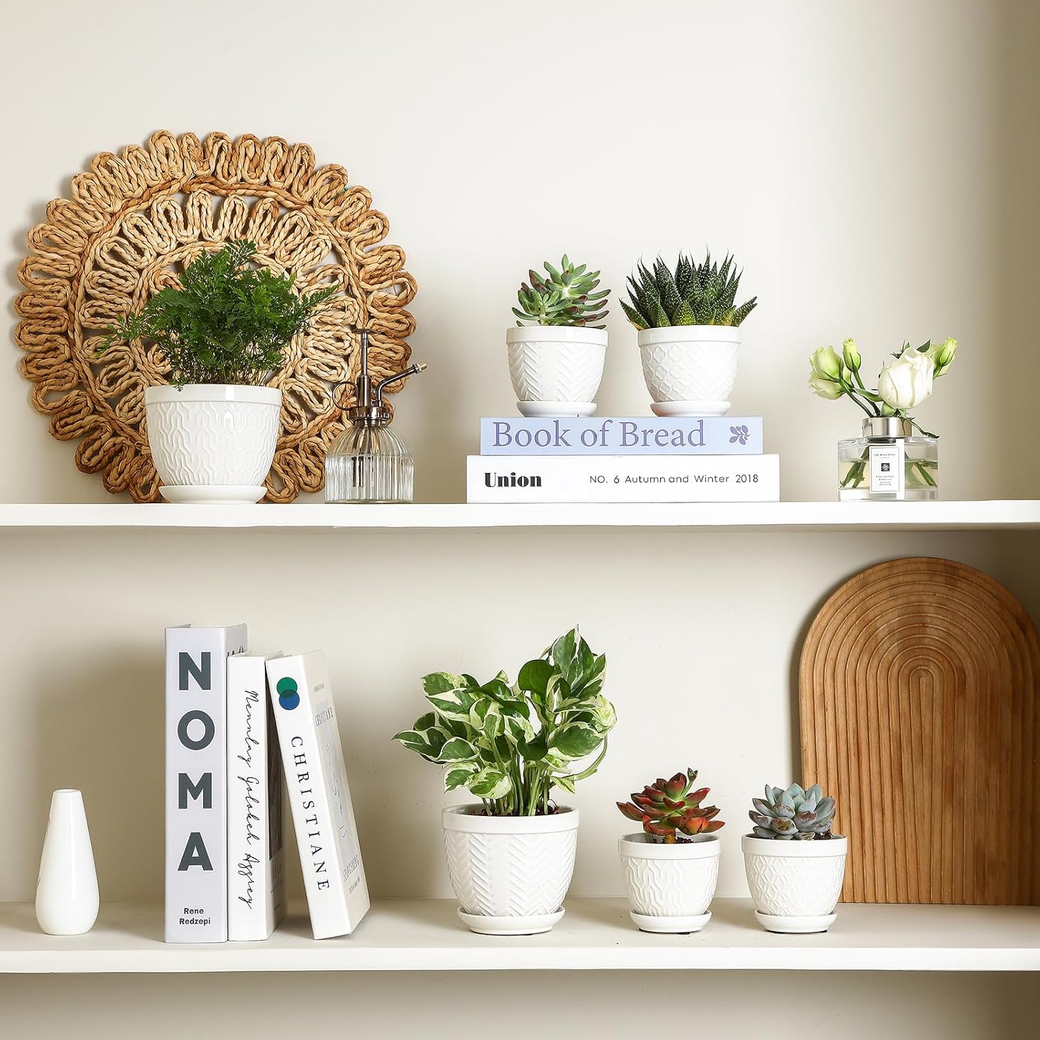 Sureasy Succulent Pots, 3.5 Inch Flower Pots for Indoor Plants, Small Plant Pots with Saucer & Drainage, Decorative