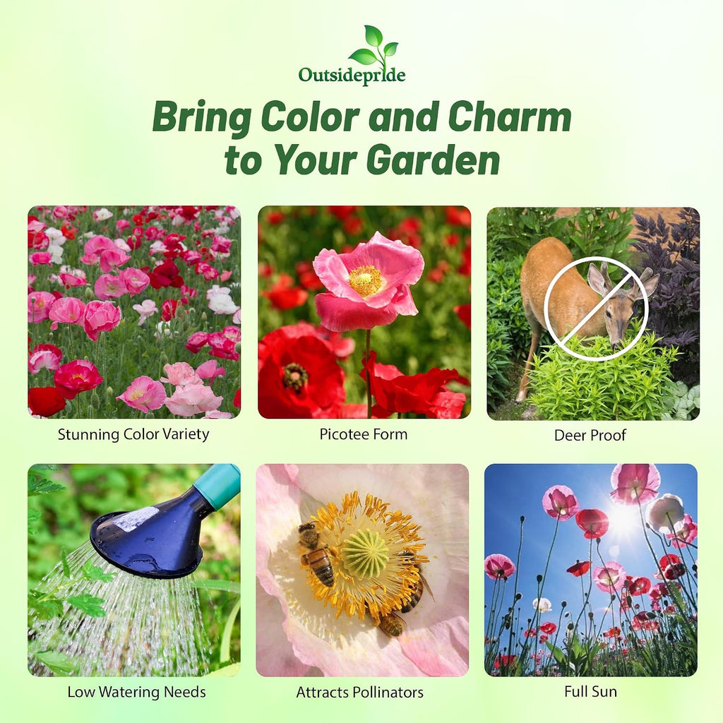 Outsidepride Shirley Poppy Seeds for Planting - 1 lb Annual, Drought-Tolerant & Easy to Grow Wildflower Seeds with