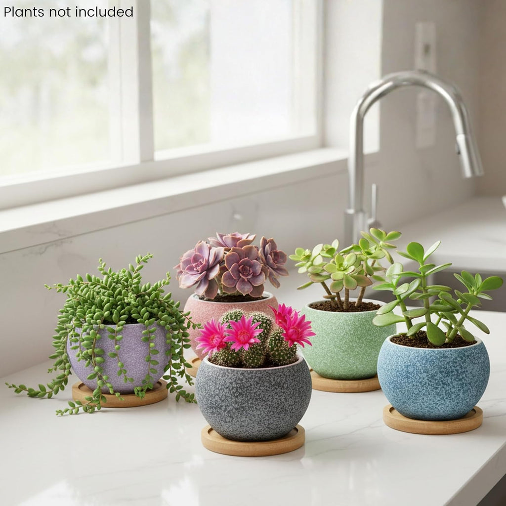 3 inch Ceramic pots for Plants, Small Succulent Pots Set with Drainage, 6 Pack Flower Pot for Indoor Plant, Planters