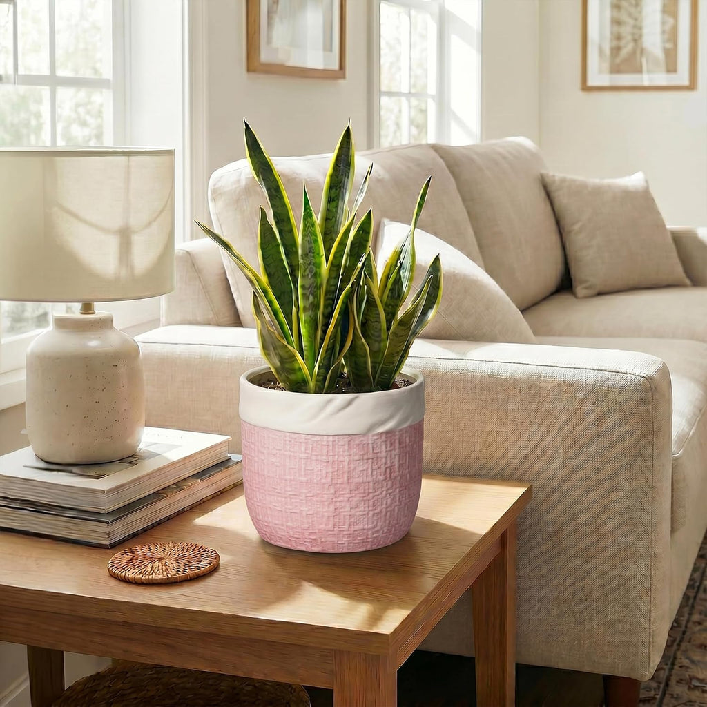 Ceramic Plant Pots, 8 Inch Planter, Round Pots for Plants, Pink | Decorative Unique Flower Pots for Indoor Plants, Boho