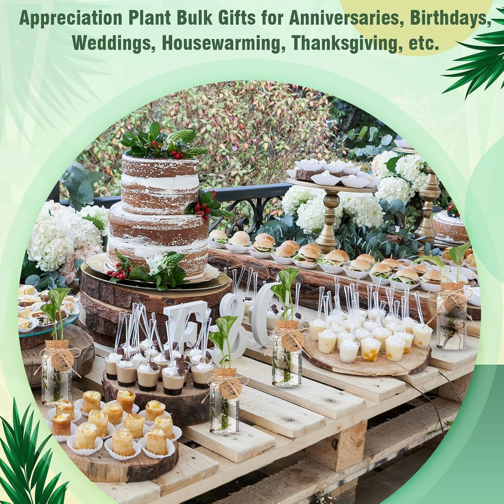 48 Pcs 3.54'' Plastic Plant Propagation Stations with Hole Lid 4oz Planter Vase Clear Propagation Jars with Thank You