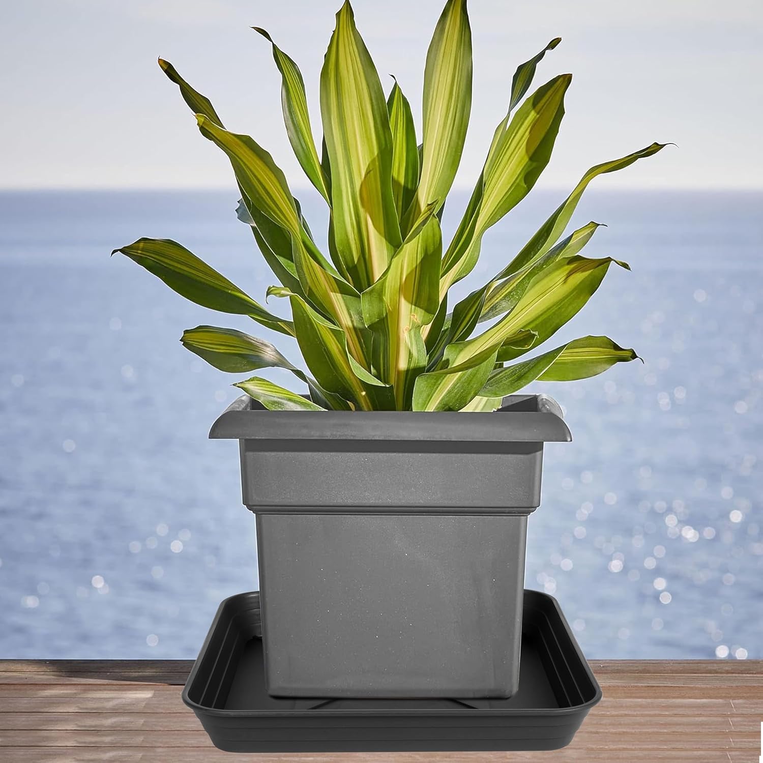 3 Pack Square Plant Saucer Tray 20 inch, Heavy Duty Plastic Plant Saucers for Indoors Outdoor, Flower Plant Drip Trays