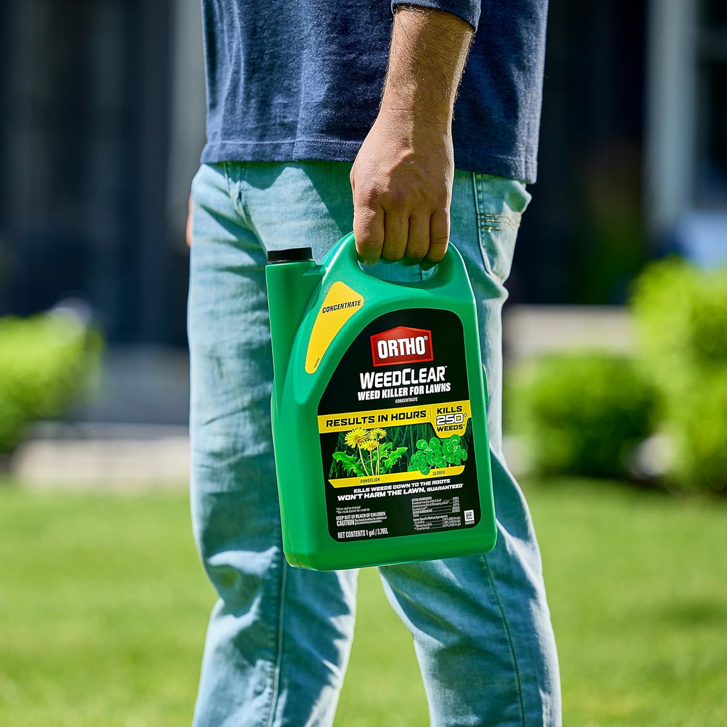 Ortho WeedClear Weed Killer for Lawns Concentrate, 1 gal. | Weed Killer Concentrate, Won't Harm Grass When Used as