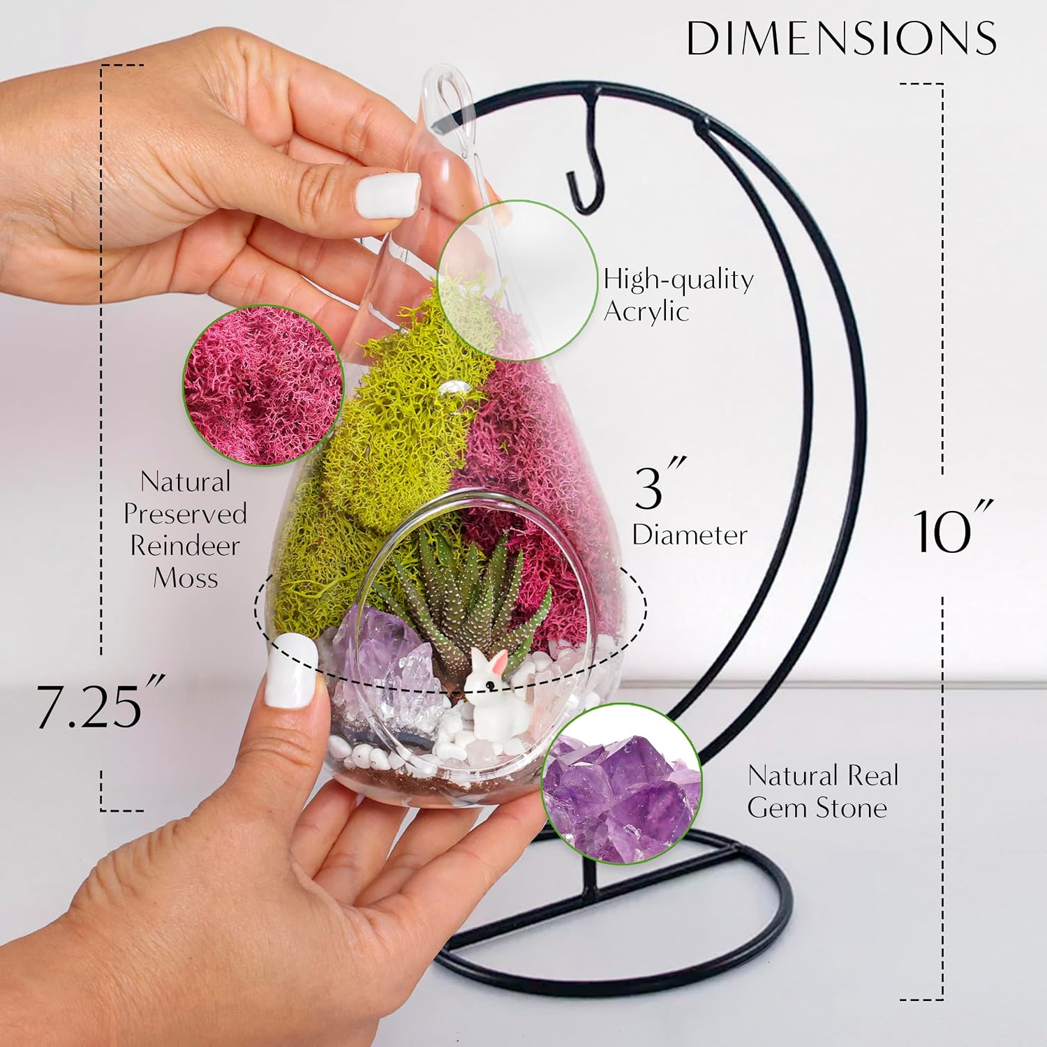 Creations by Nathalie DIY 7" DIY Teardrop Terrarium Kit - Build Your Own Glass Terrarium for Adults & Teens with Moss