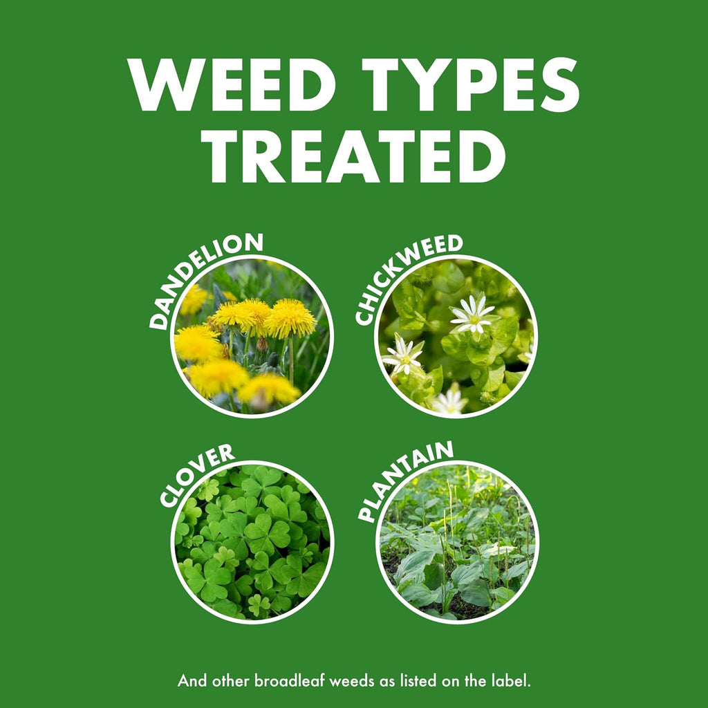 Spectracide Weed & Feed 20-0-0, Dual Action Formula 32 Oz, 3 Pack | Kills Weeds & Feeds Lawn, Kills Dandelion