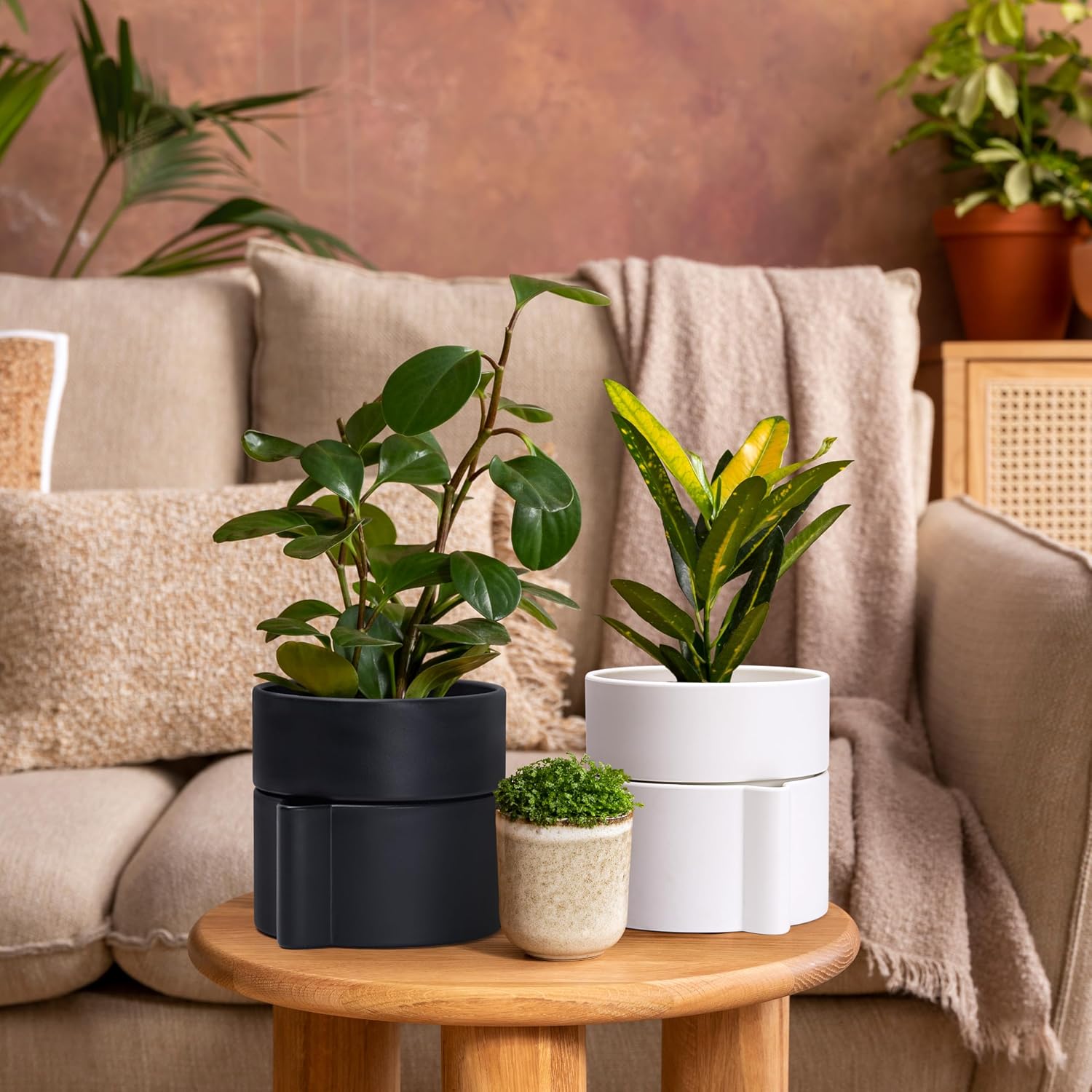 Phoenix Vine 8 Inch Self-Watering Planter Pot with Terracotta Insert, Deep Water Reservoir, and Ceramic-Alike BPA-Free