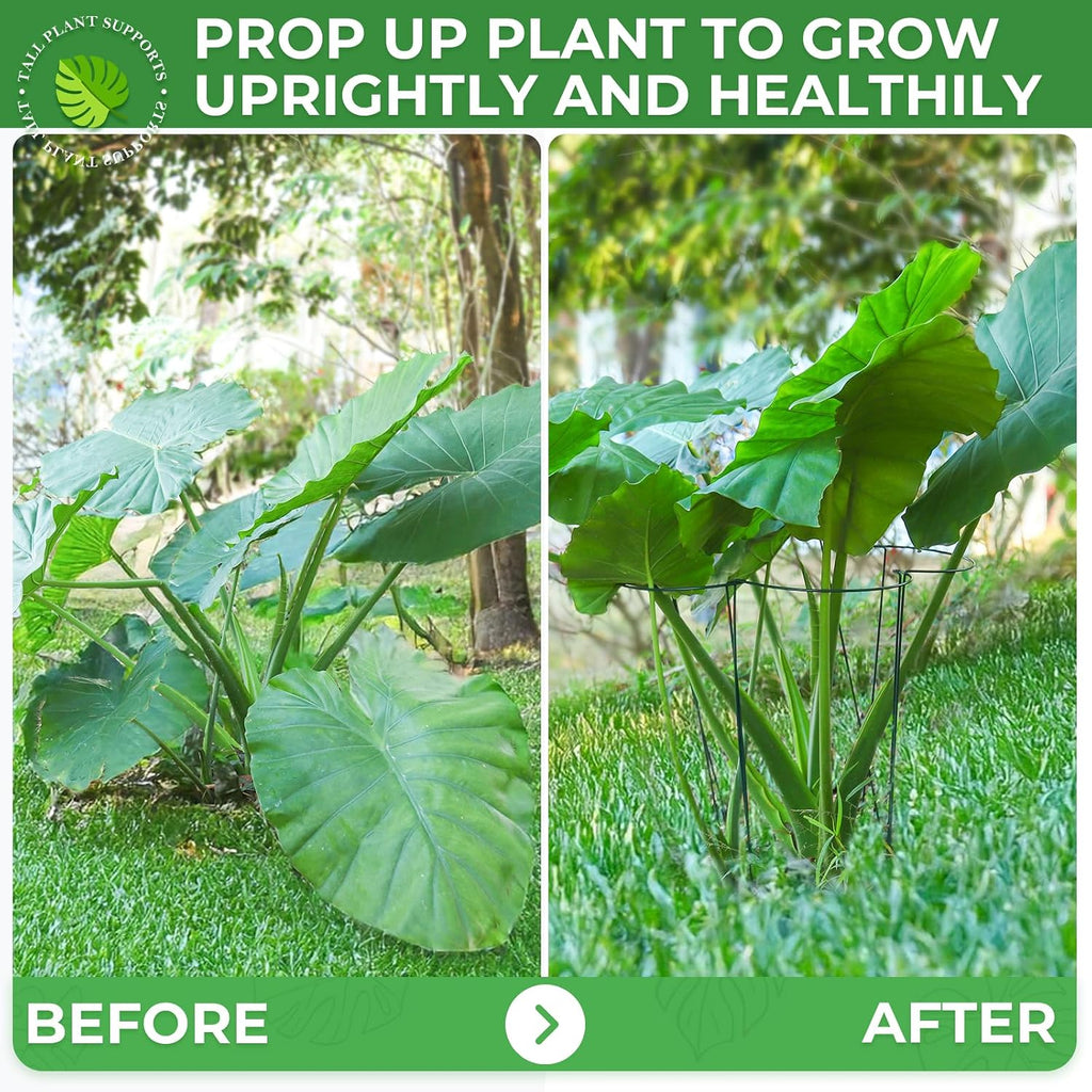 LEOBRO Plant Support Plant Stakes, 6pcs Peony Cages and Supports, Metal Garden Stakes Plant Supports, Plant Support