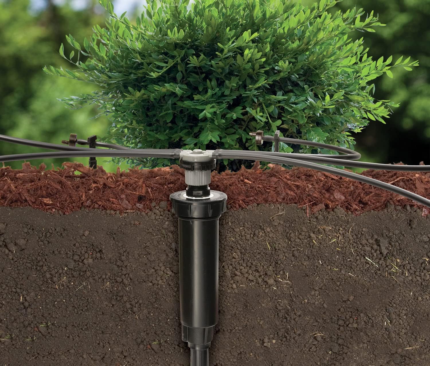 Rain Bird CNV182EMS Drip Irrigation Kit, 1/4"