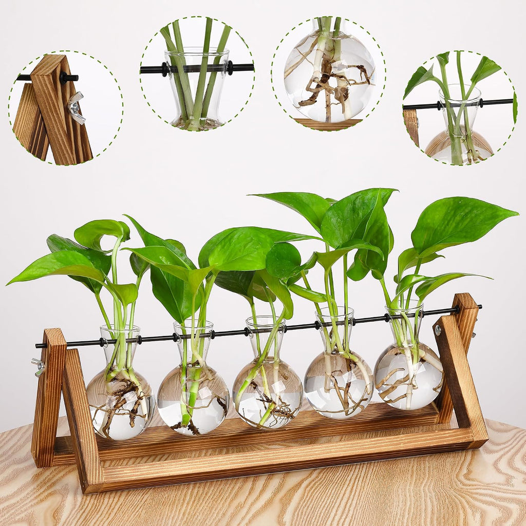 YIBOT Plant Propagation Stations with Wooden Stand & 5 Glass Bulb Vases | Tabletop Plant Terrarium for Propagating