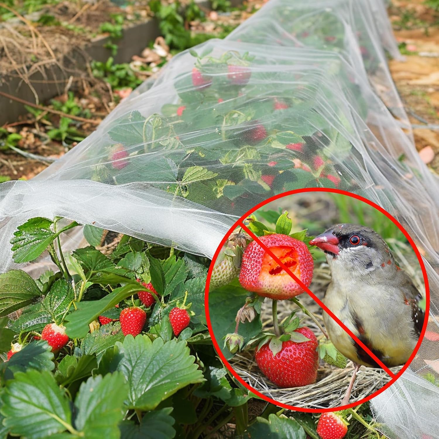 GonLei Garden Netting 10 X 100 FT Ultra Fine Netting for Garden Protection,Garden Netting for Raised Beds,Mosquito Net