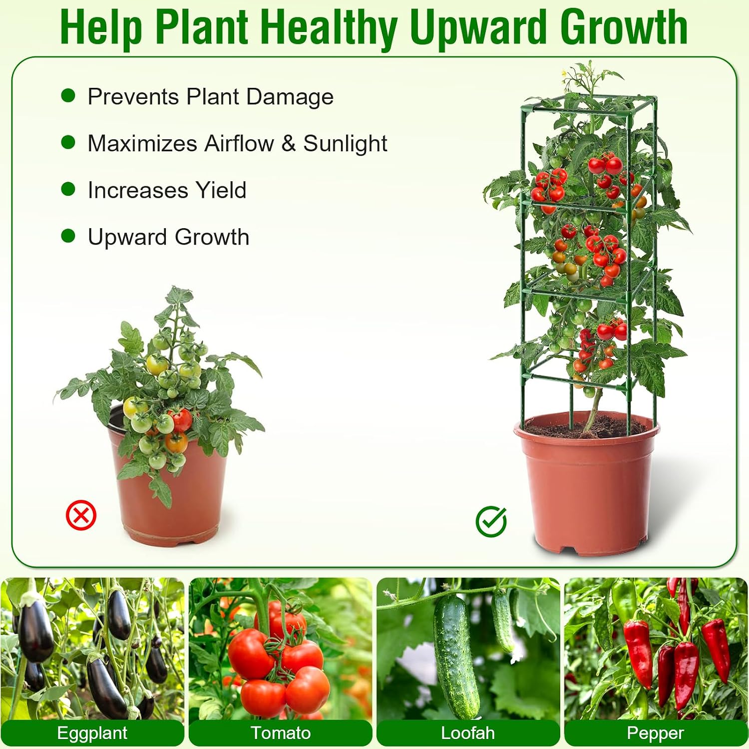 Fabulas Tomato Cage, Square Tomato Trellis Plant Support Stake Cages for Garden and Pots Tall Up to 63 Inch Adjustable