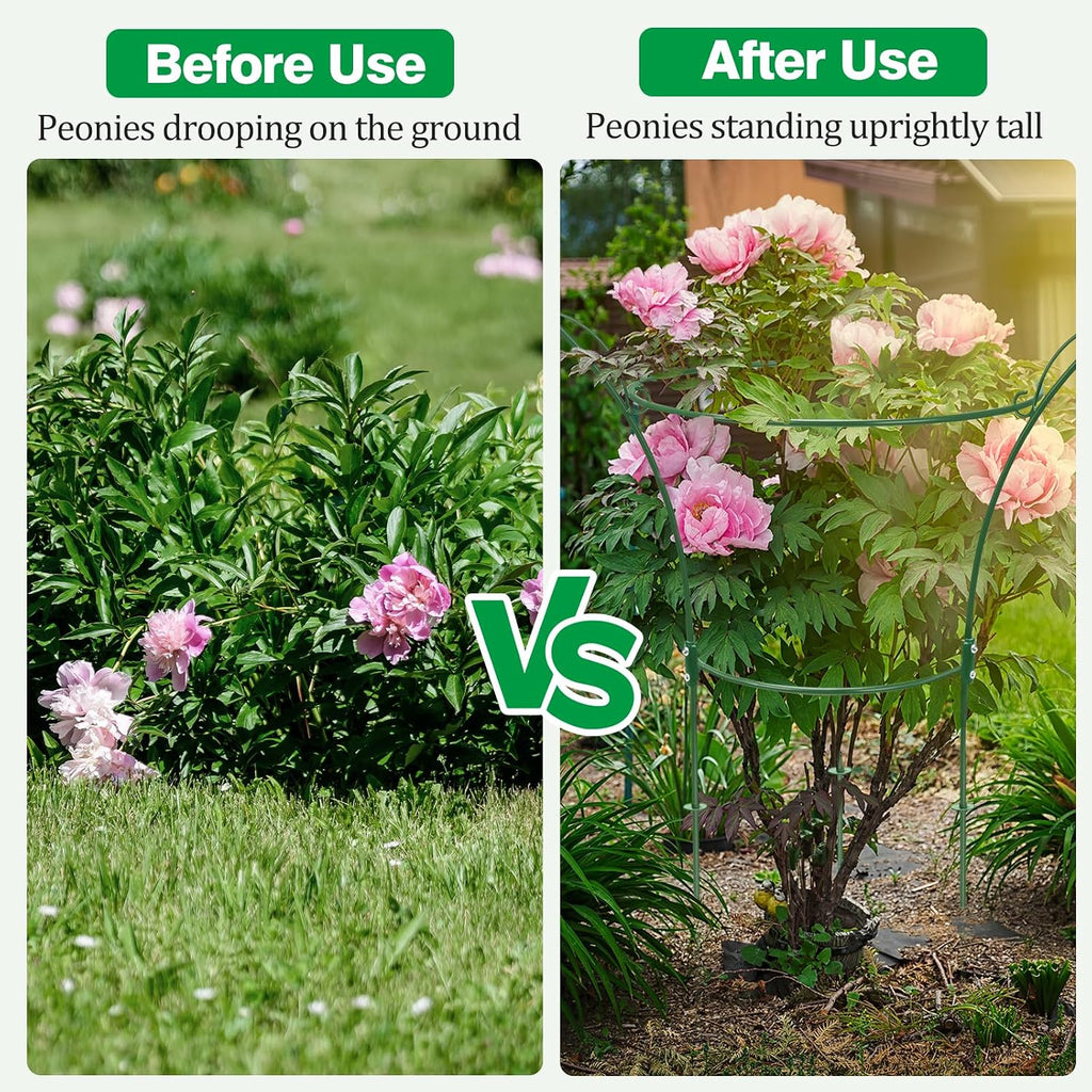 2 Pack Peony Cages and Supports Cages 13" D x 22.8" H Sturdy Metal Support Frame for Peonies & Roses Natural Bouquet