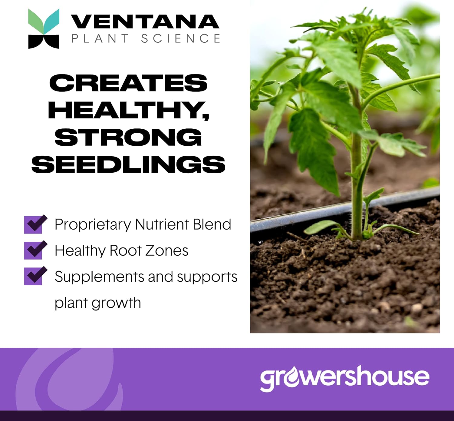 VPS OrganiPlug Hydroponic Seed Starter Plugs, 50 Pack, Rapid Root Planting Pods for Seedling, Clone, Cutting, Promotes