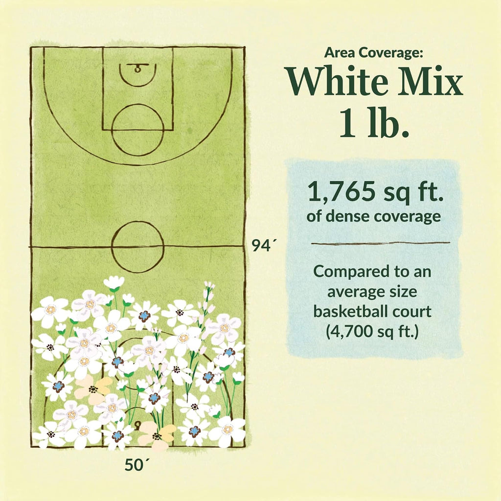 Ferry-Morse White Bulk Wildflower Seeds, 290,000+, 1 lb | Non-GMO annual and perennial blend in white and cream shades;