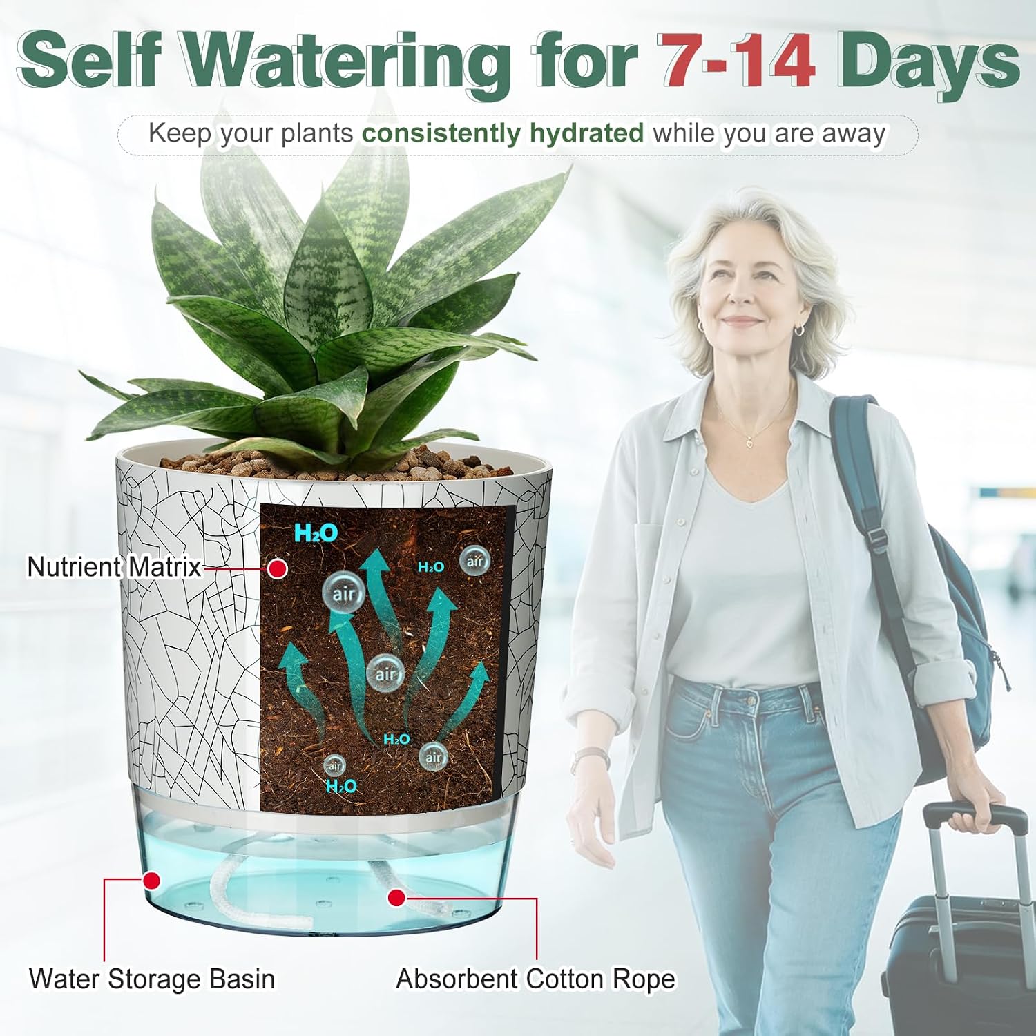6 Pack Self Watering Pots for Indoor Plants, 4/5.5/6.3 Inch Plant Pots | Self Watering Planters with Drainage Hole