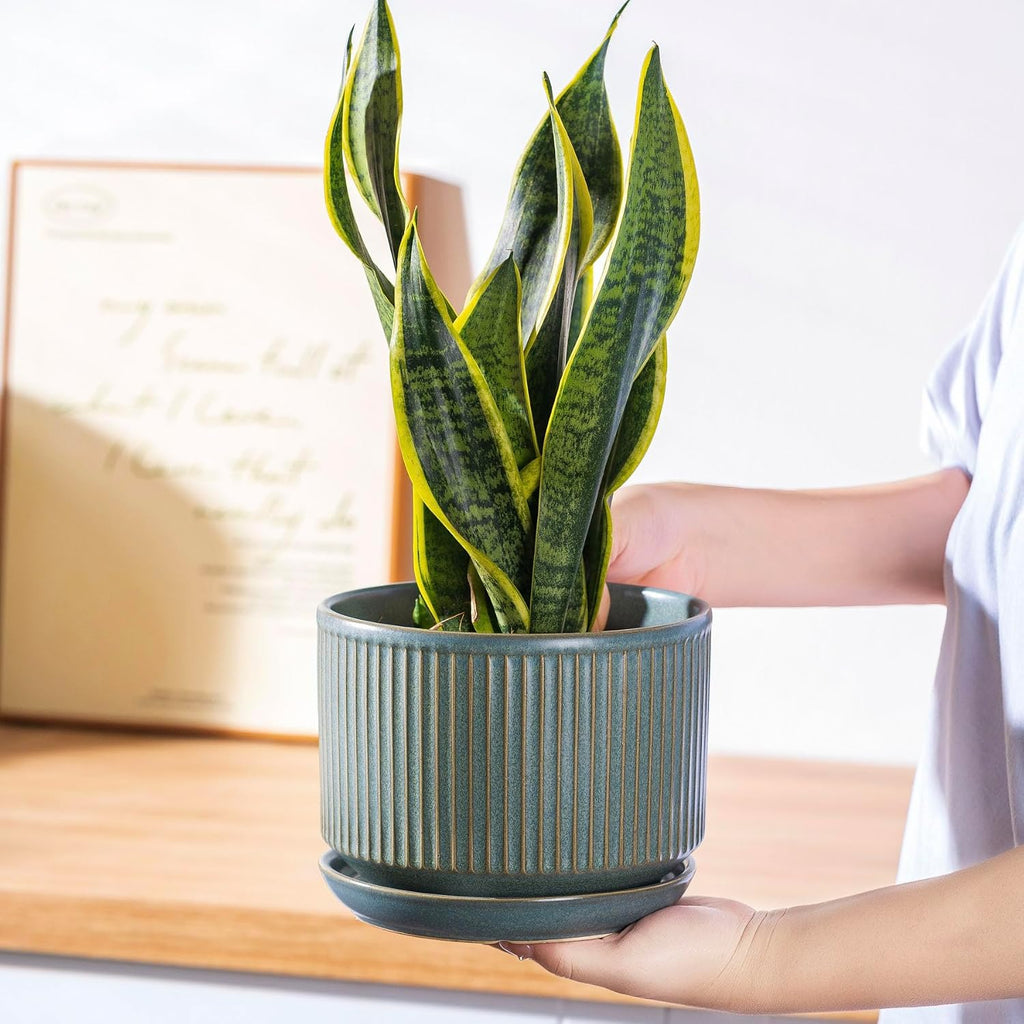 SURE YUESI Ceramic Plant Pots Set of 3, Indoor Outdoor Planters with Drainage Hole and Saucer, Ceramic Flower Pots for
