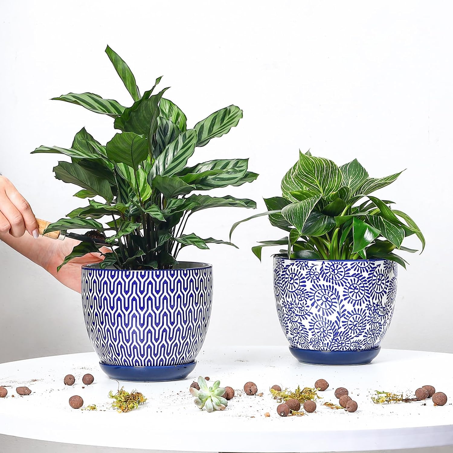Selamica Ceramica Plant Pots, 6.5 Inch Flower Pots Set of 2 with Drainage Holes & Saucer, Planters for Indoor Plants