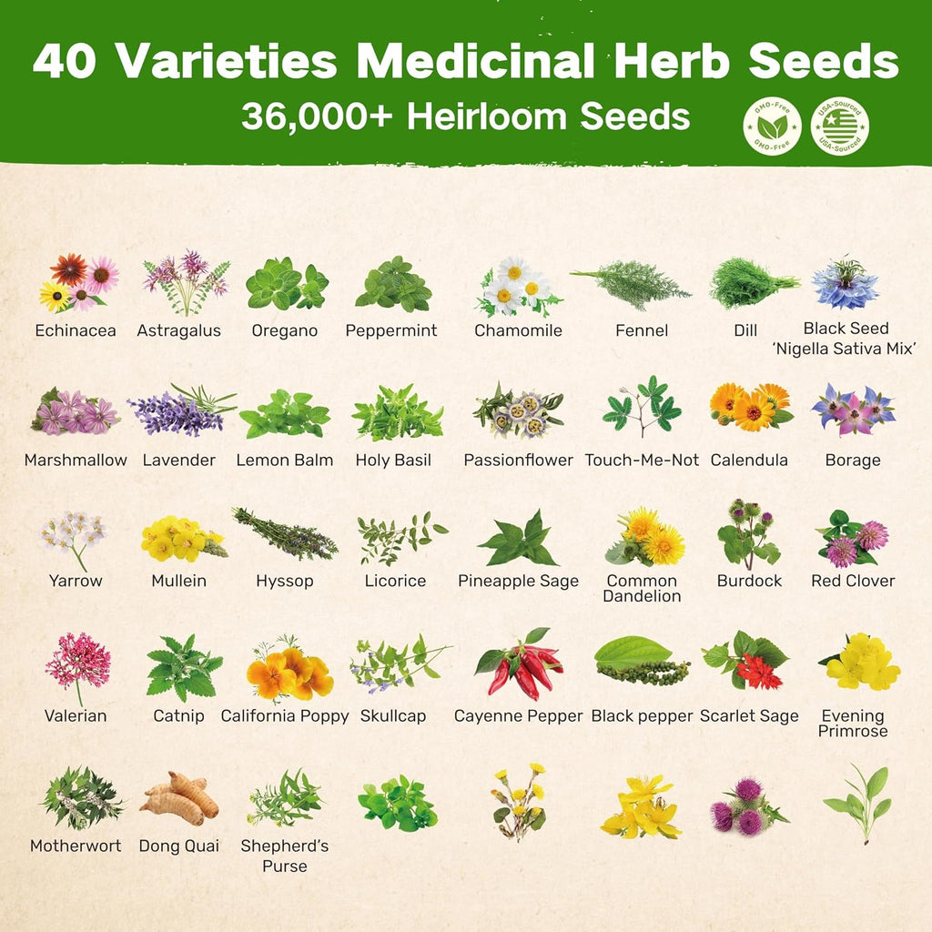 Lush&Dew Ancestral Apothecary Medicinal Tea Herb Seed Chest, Gardening Gift | 36,000+ Non-GMO Survival Seed Kit, Gifts