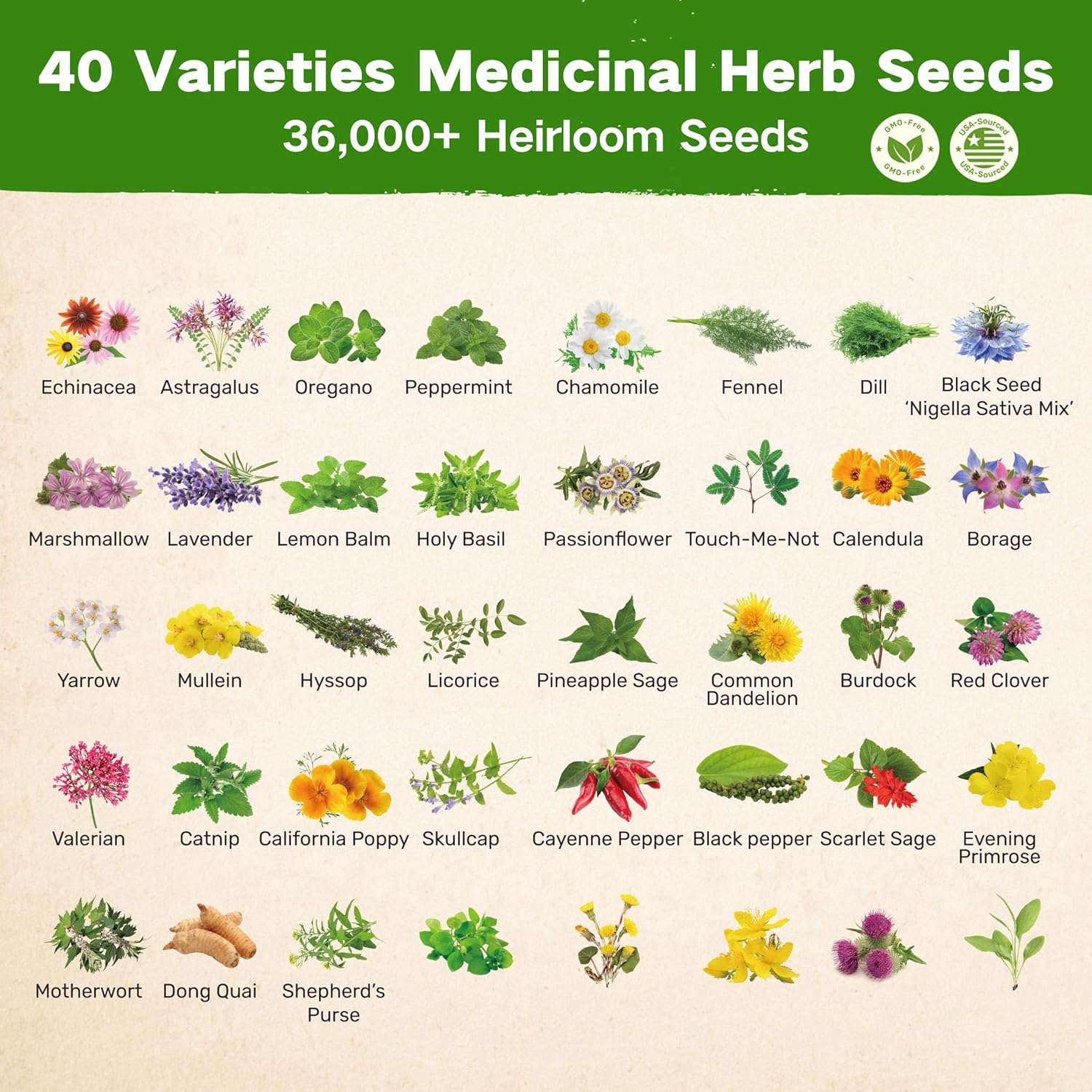 Lush&Dew Ancestral Apothecary Medicinal Tea Herb Seed Chest, Gardening Gift | 36,000+ Non-GMO Survival Seed Kit, Gifts