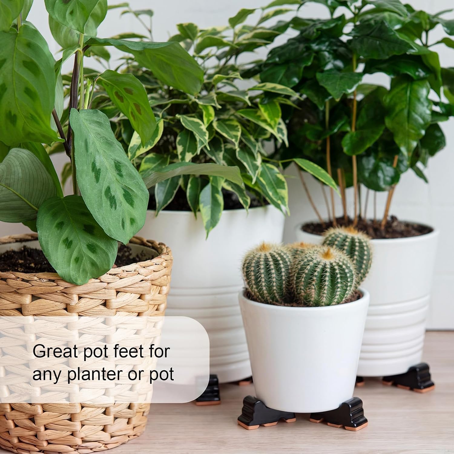 Kigeli 6 Pcs Resin Garden Pot Feet for Outdoor Planters 3 Inch Long 1.5 Inch Tall Flower Handmade Elevator Plant Feet