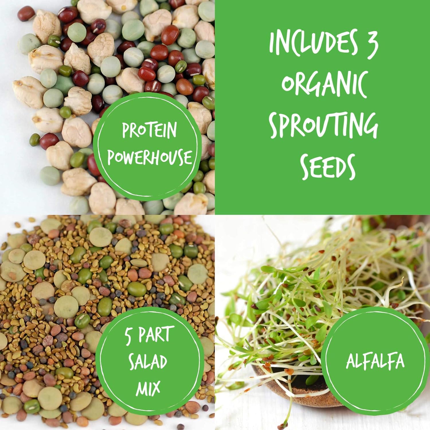 Handy Pantry Complete Sprouts Growing Kit | Sprouting Kit with 3 Stackable Sprouting Trays | Seed Sprouter, BPA-Free