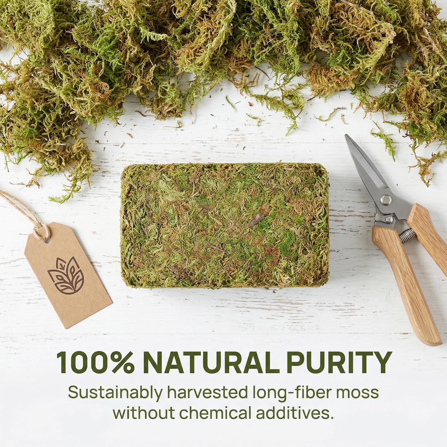 2.5 LB Sphagnum Moss for Plants, Long Fiber Orchid Moss for Carnivorous Plants, Terrariums and Indoor Potting