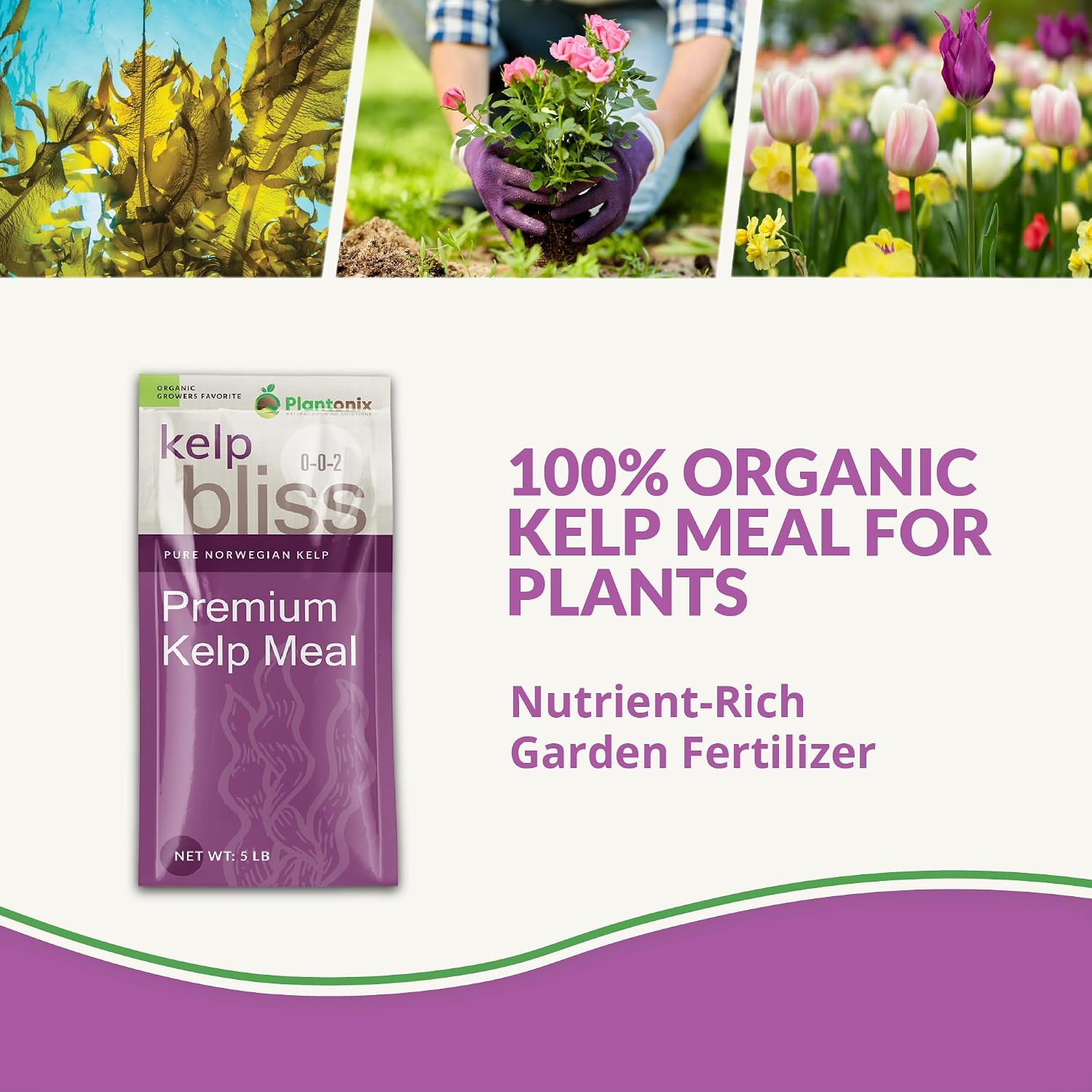 Kelp Bliss (5lbs) + Neem Bliss (5lbs) - Kelp Meal Organic Fertilizer & Neem Cake for Plants - Kelp Fertilizer for