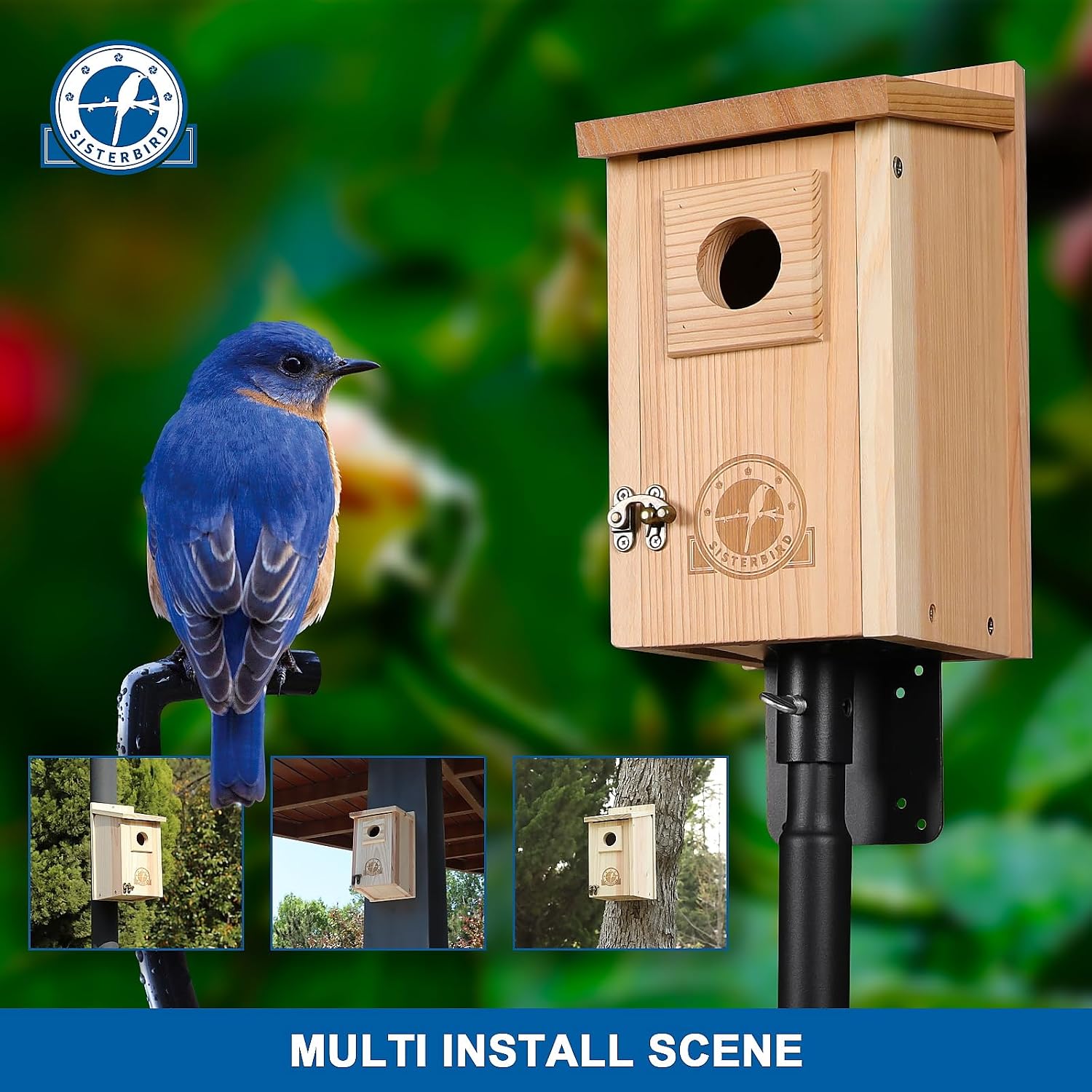 SISTERBIRD Bluebird Houses for Outside, Blue Bird Houses for Outdoors, Premium Bird House, Pack of 2 Bluebird House