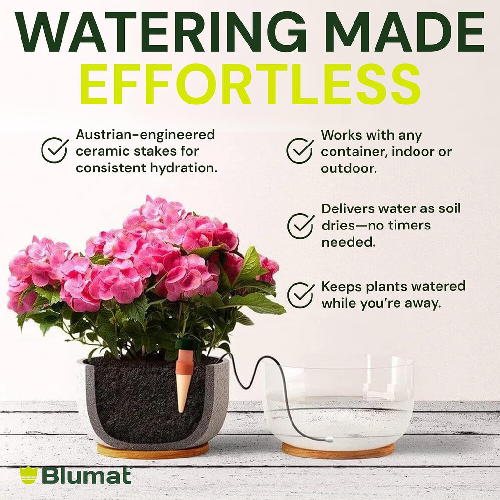Blumat Classic Self-Watering Stakes - Prevents Overwatering and Underwatering for Healthy Growth While You are Away
