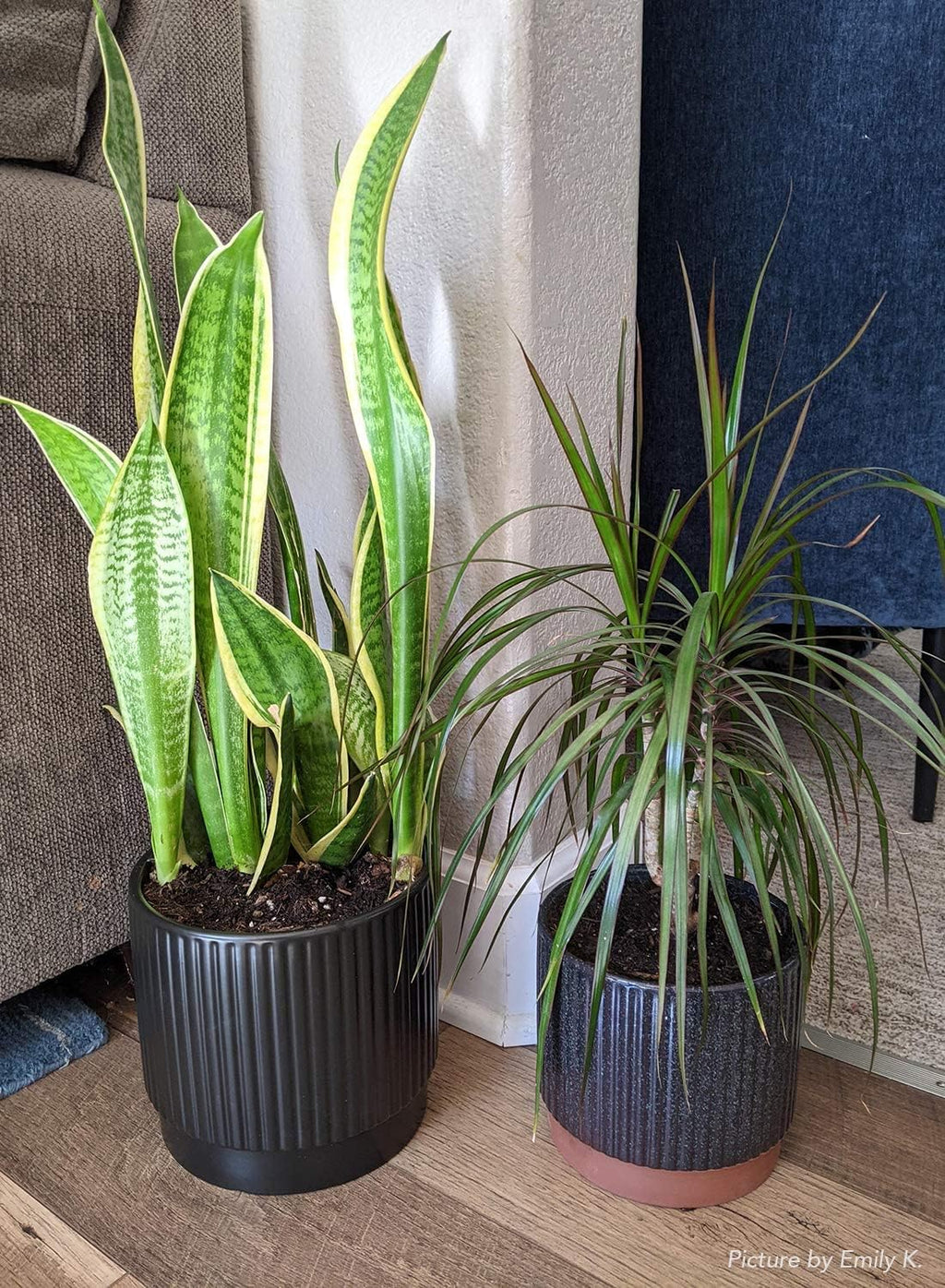 LE TAUCI Ceramic Plant Pots with Drainage Holes, Set of 3, 8+6.7+5.5 Inch Stripe Garden Planter Pots for Outdoor Indoor
