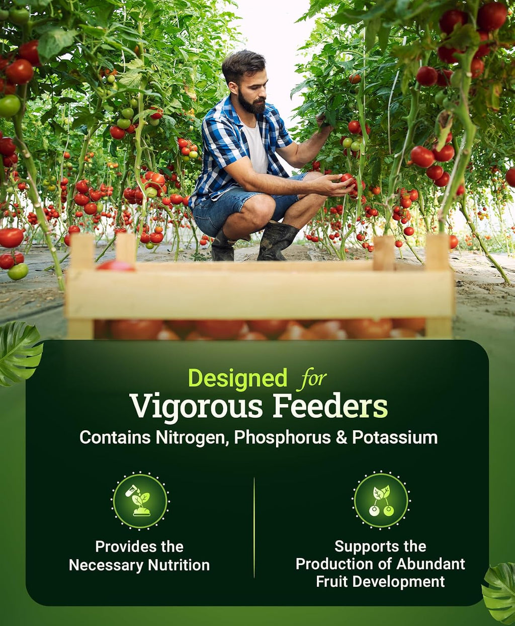 FoxFarm Happy Frog Tomato & Vegetable Fertilizer - Vegetable Fertilizer for Vigorous Feeders, 5-7-3 Blend with Calcium
