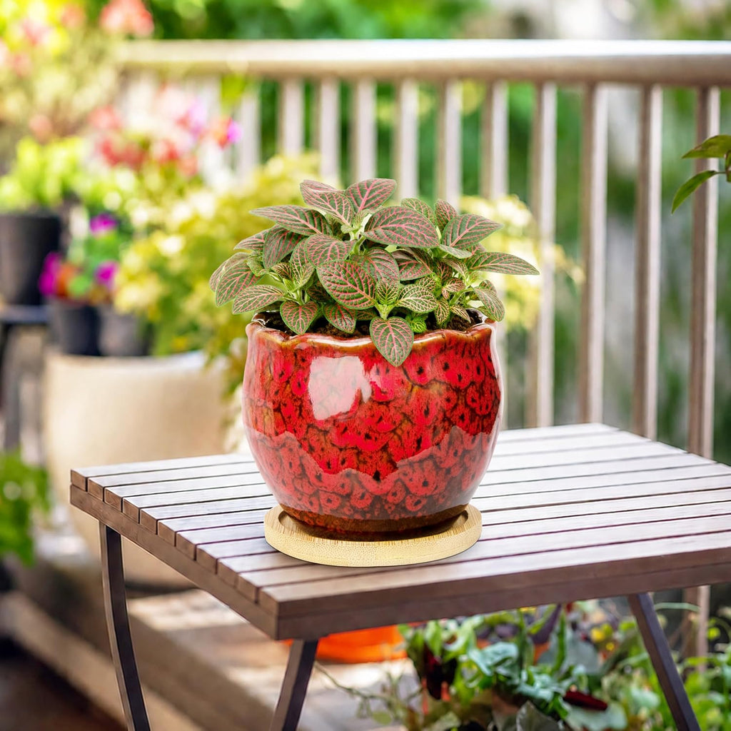 ARTKETTY Succulent Pots, 4 Pack Small Plant Pots with Drainage Tray | 4 Inch Flower Pots, Ceramic Planters for Indoor