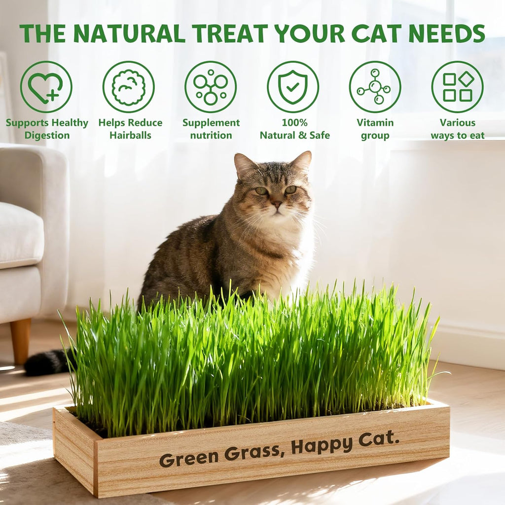 LUOJIBIE Cat Grass Kit for Indoor Cats, Cat Grass Seeds Set, Non-GMO Wheat Grass, Mothers Day Gifts for Mom, Unique
