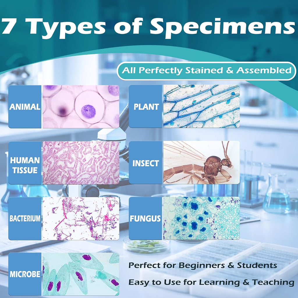 200 Packs Microscope Slides, 100 Plants & 100 Animal Tissues Includes Labels and Case for Biological Science Education