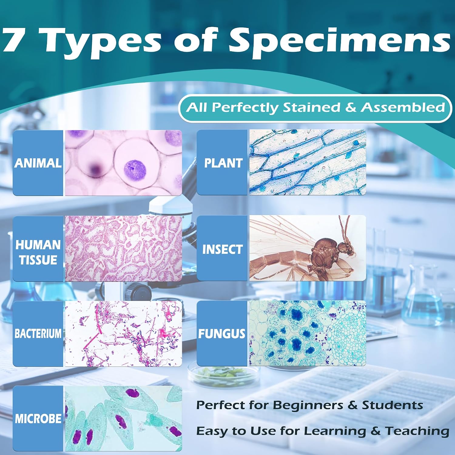 200 Packs Microscope Slides, 100 Plants & 100 Animal Tissues Includes Labels and Case for Biological Science Education