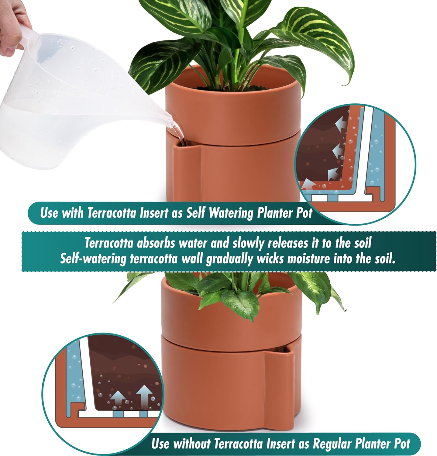 8 Inch Self-Watering Planter Pot with Terracotta Insert, Deep Water Reservoir, and Ceramic-Alike BPA-Free Plastic