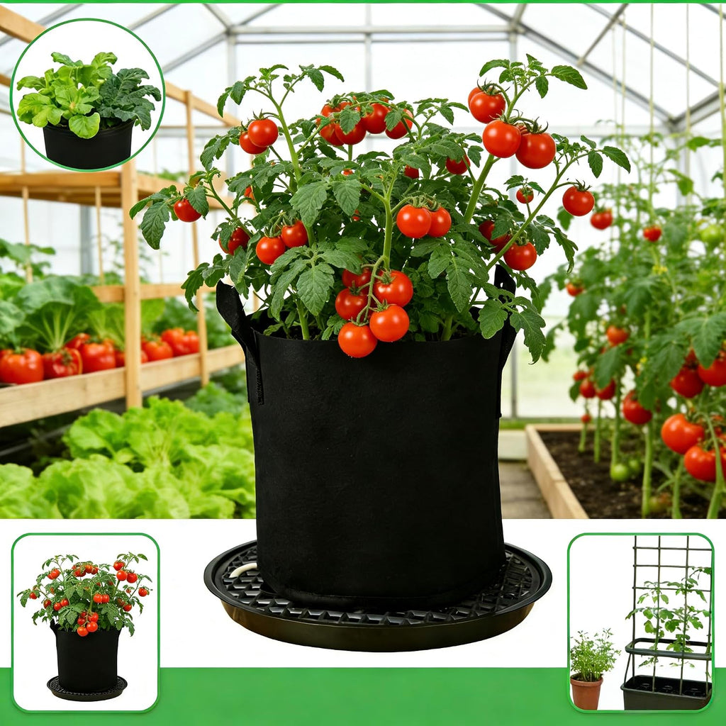 ORIMERC 4 Pack Grow Bags 5 Gallon for Growing Strawberry Tomato Self Watering Planter Fabric Plant Grow Bag Come with