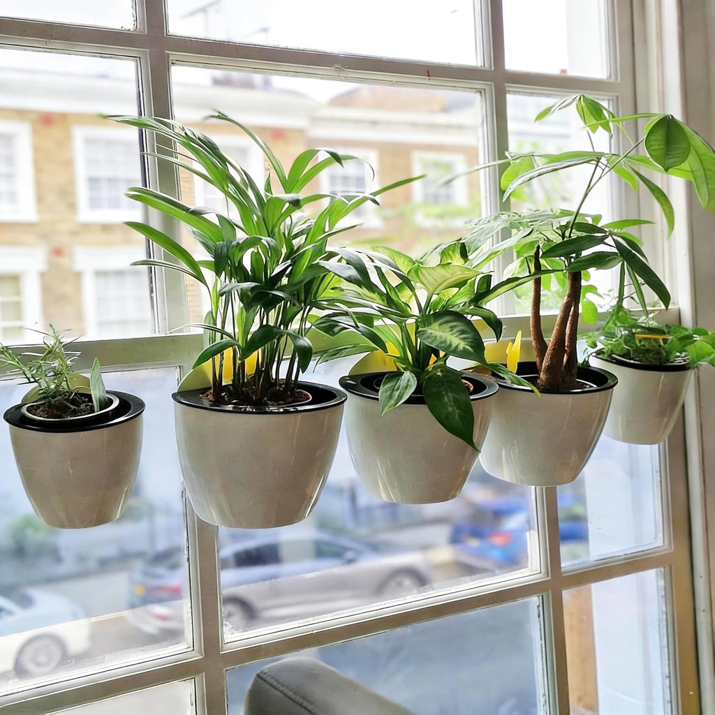 ORIMERC 6 Pack Hanging Planter Wall Planter Self Watering 5 inch Plant Pot with Hardware Vertical Planter Outdoor