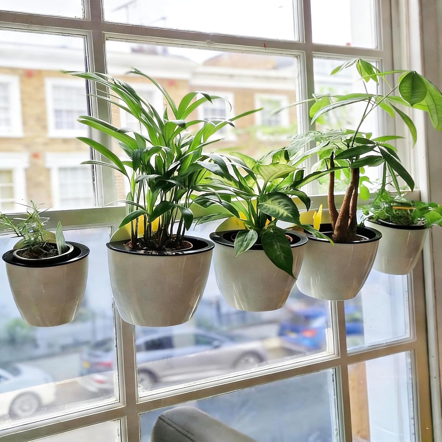 ORIMERC 6 Pack Hanging Planter Wall Planter Self Watering 5 inch Plant Pot with Hardware Vertical Planter Outdoor