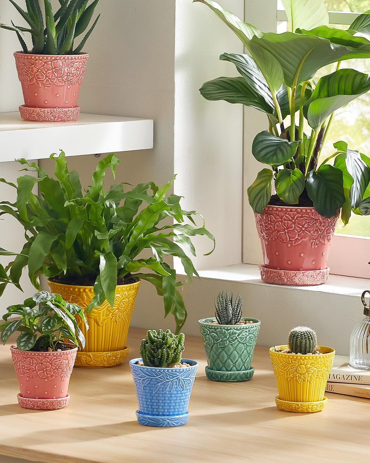 Metahom Succulent Ceramic Pots, 3.8 Inch Small Plant Pots with Drainage Hole & Saucer, Flower Planter Pot for House
